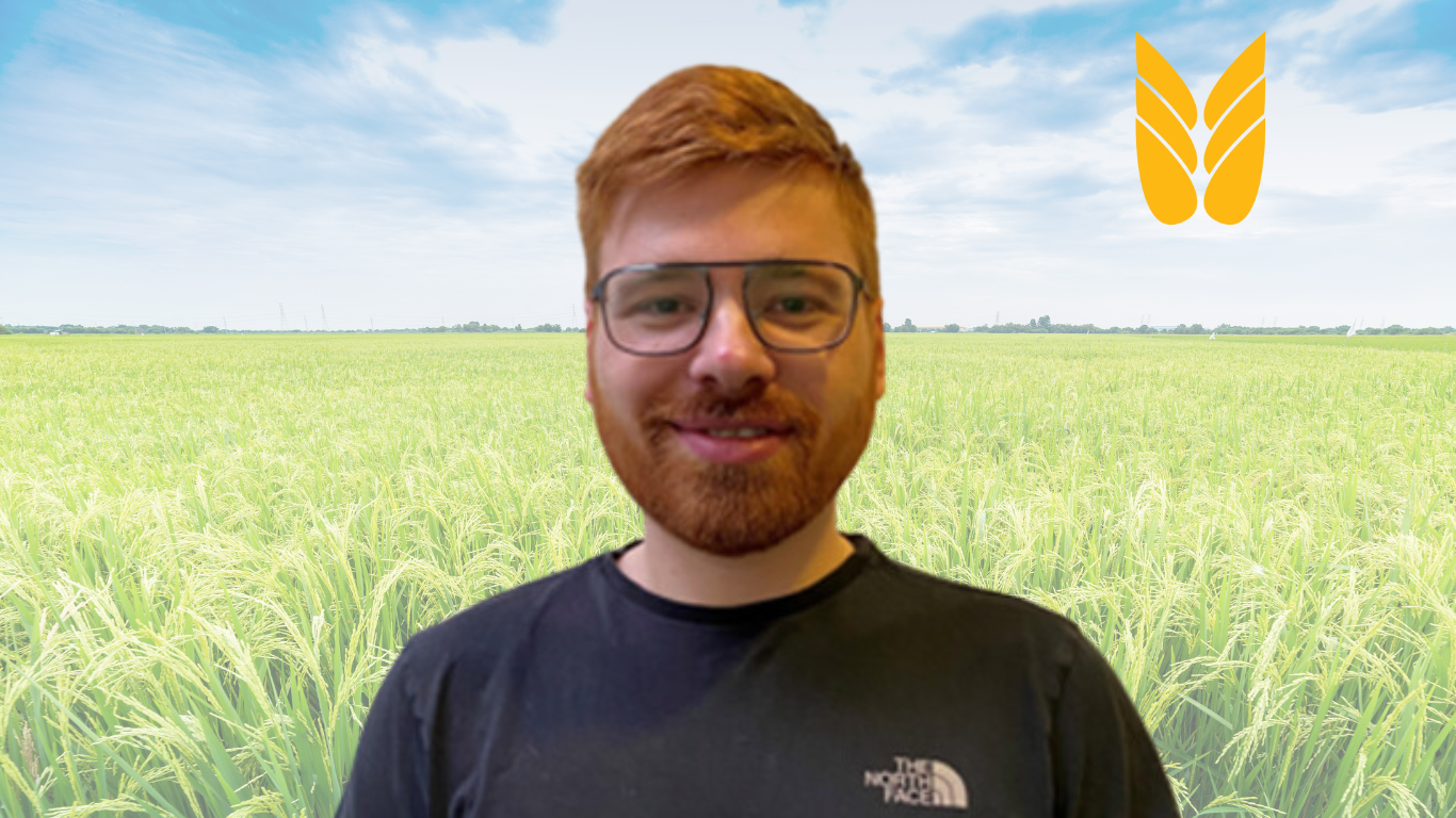 Thomas Ball Vilhelmsen