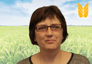 Birgit Rys Kontakt medarbejder