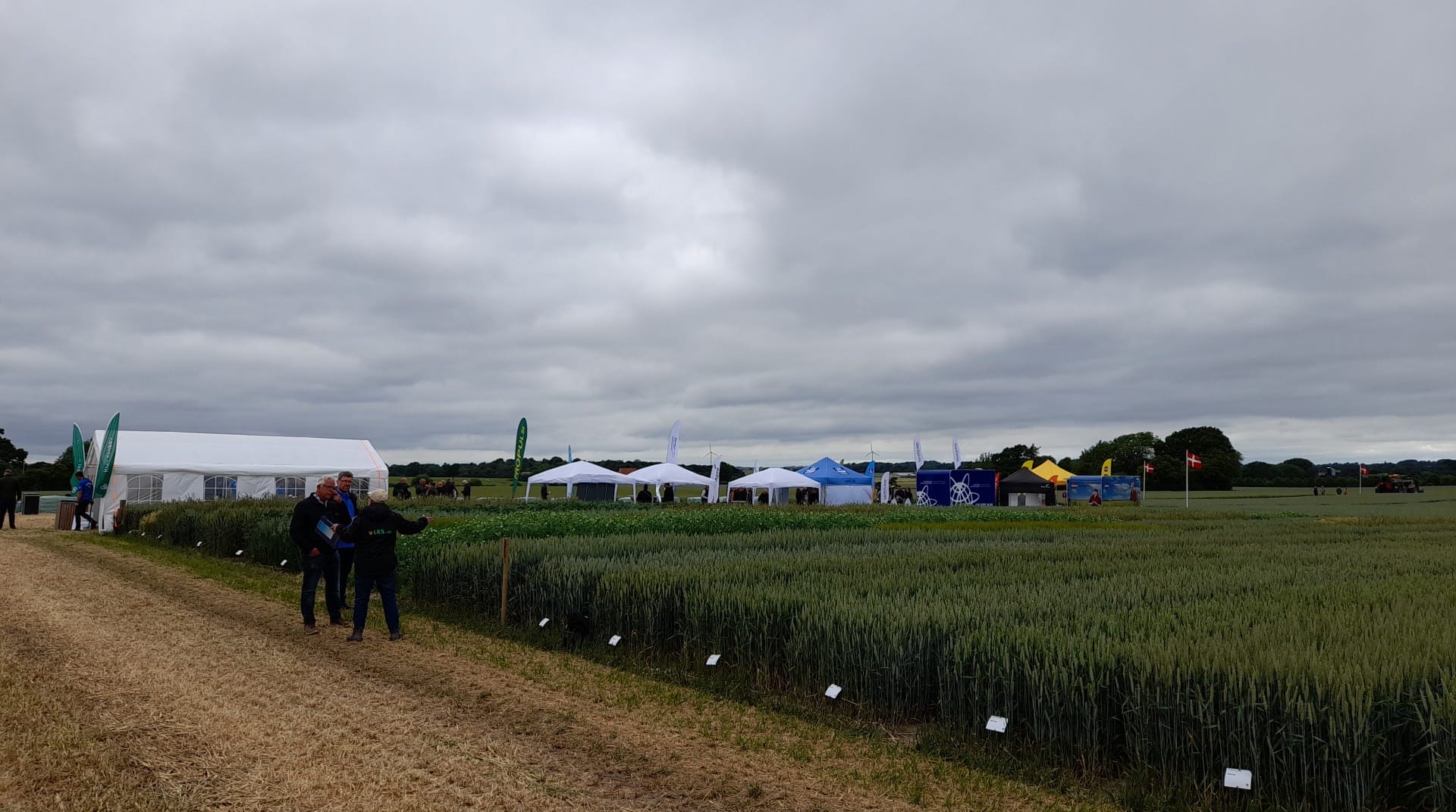 Plantedag på Ultang – fokus på fremtidens planteavl