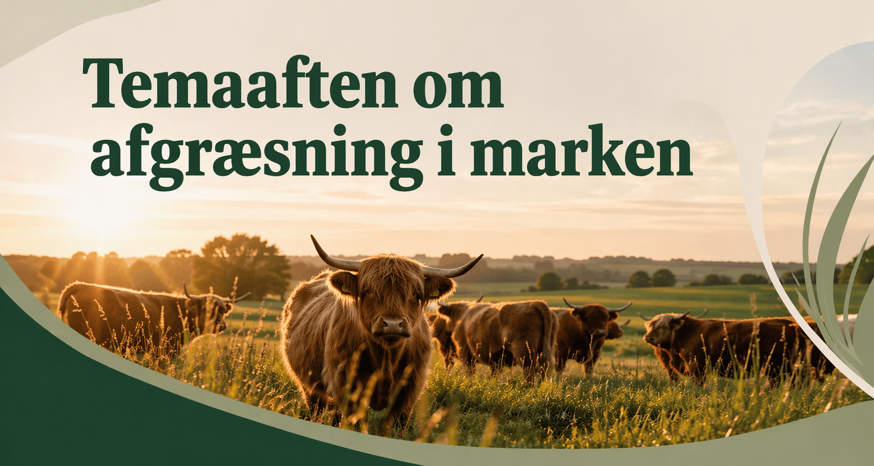 Temaaften om afgræsning i marken – en aften i det fri