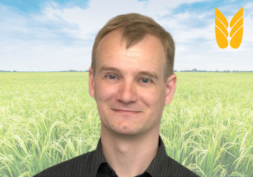  Til dig der har et skovtilsagn der er udløbet