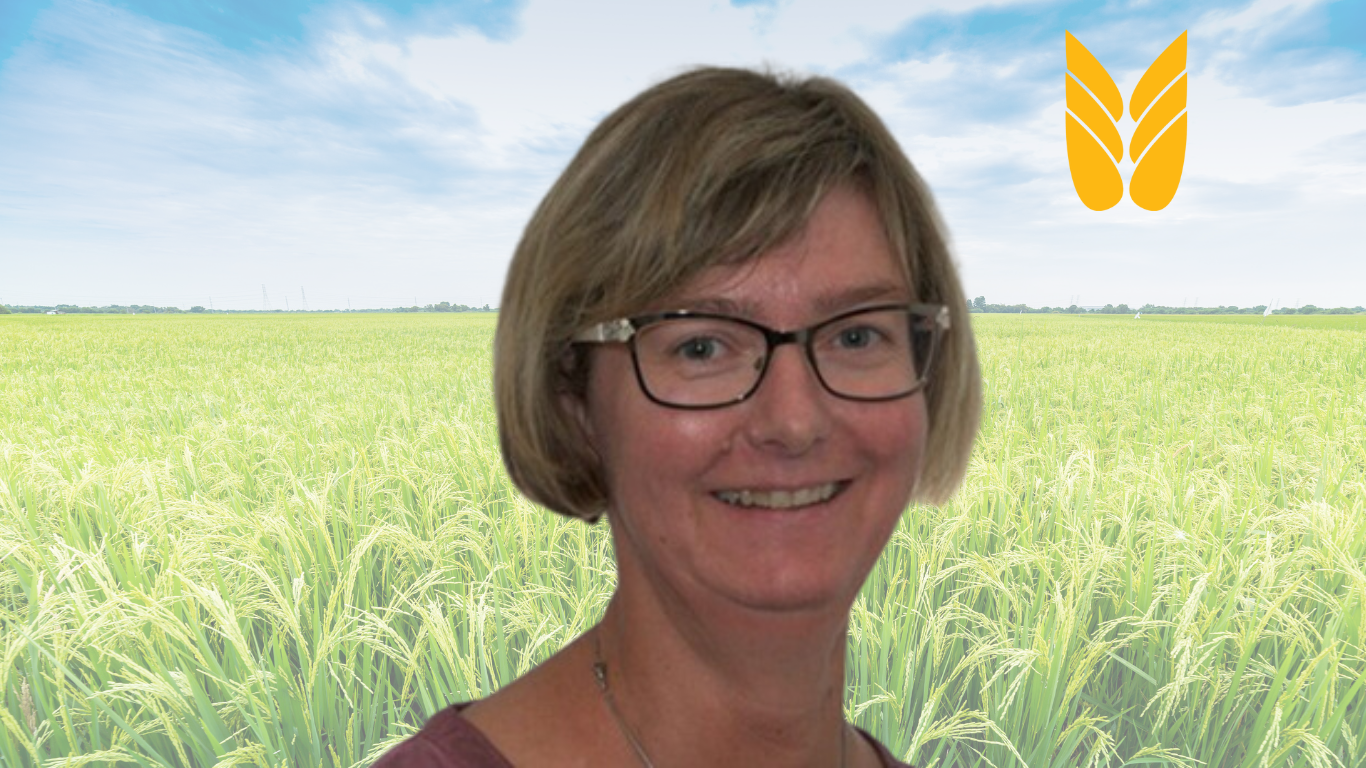 Birgitte Christiansen